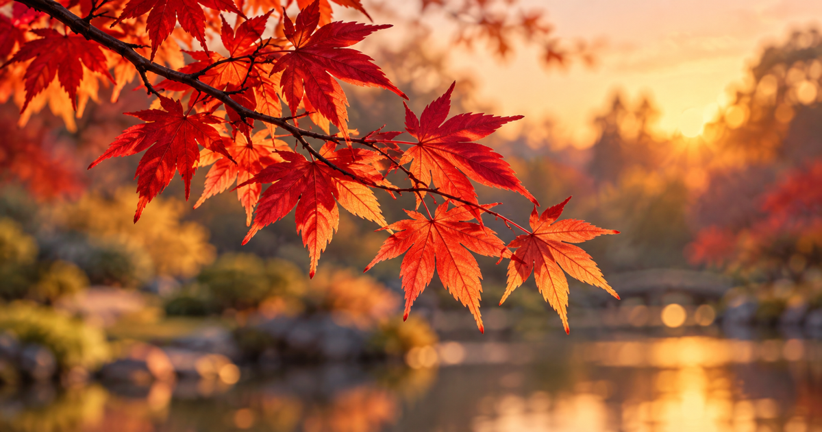 東公園の紅葉シーズン前に、周辺のお店が整えたいこと